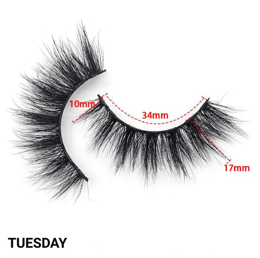 TUESDAY LASH